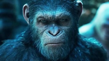 Цезарь родился !