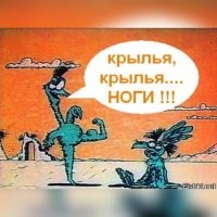 В Китае страус напал на смотрителя зоопарка