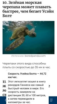 30 крутых и любопытных фактов о животных