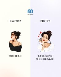 Стандартные грабли современных баб и путь к жизни с 10 кошками