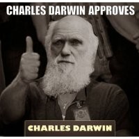 Скорее всего бочка практически пустая, но в ней, на дне был остаток топлива, а пары его и сдетонировали. Но тем не менее - премию Дарвина этому сварному.