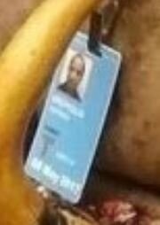 Странно, а на бейджике вроде в одежде...