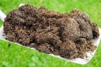 Держи, братан!