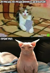 Когда проигралА, тоже не всегда хорошо...