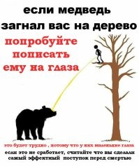 Тушу шатуна-людоеда сожгли на огромном костре в центре деревни