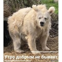 Иссохшее состояние зомби, первый туалет и авитаминоз. Что делает медведь сразу после спячки?