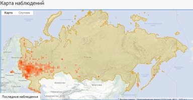 карта распространения, от энтузиастов