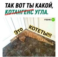 Мемы из соцсетей. Свежак за 22 февраля