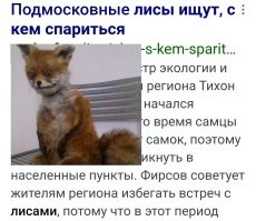 Хм... Они так каждый год.