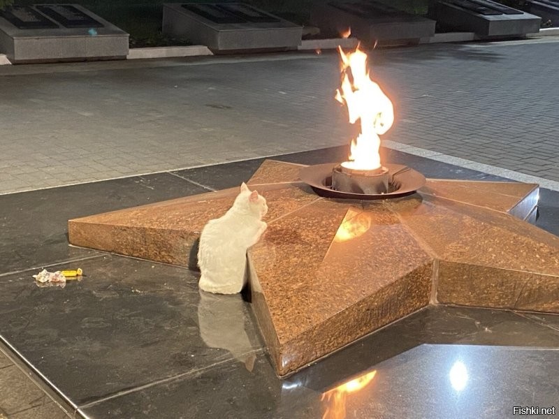 Пф...! Олень, у них понимаш.. У нас вон кабаняшки целоваться лезут... Но за вкусняшку.))) На пляже загорают, в море купаются. Лисы у них в очереди на водопой... А у нас просто фотомоделями работают. За вкусняхи конечно. Лавки с динозаврами у них... А у нас с котами! 
 даже живыми. И вообще для котов нам и кареты не жалко. Люки у них цветные, фигурные, ну и у нас ничо такие. 
 Зато у нас во как было на небе, а у них фига с маслом. У  нас вот какие герои, а у них самураи сеппукнутые.  И вот какой у нас Вечный Огонь и пркрасная смотрительница, а у них влажные мечты про острова. И это только в одном небольшом городке. 
 Так что нечего ту Японию нахваливать. Нет там ничего такого, что удивляться и завидовать надо- у нас не хуже, а то и получше есть.