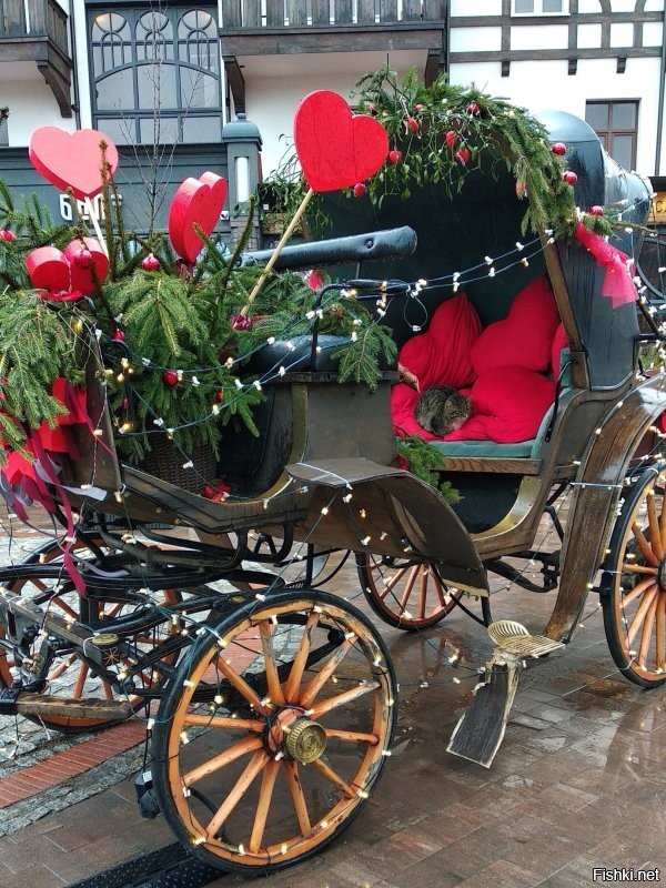 Пф...! Олень, у них понимаш.. У нас вон кабаняшки целоваться лезут... Но за вкусняшку.))) На пляже загорают, в море купаются. Лисы у них в очереди на водопой... А у нас просто фотомоделями работают. За вкусняхи конечно. Лавки с динозаврами у них... А у нас с котами! 
 даже живыми. И вообще для котов нам и кареты не жалко. Люки у них цветные, фигурные, ну и у нас ничо такие. 
 Зато у нас во как было на небе, а у них фига с маслом. У  нас вот какие герои, а у них самураи сеппукнутые.  И вот какой у нас Вечный Огонь и пркрасная смотрительница, а у них влажные мечты про острова. И это только в одном небольшом городке. 
 Так что нечего ту Японию нахваливать. Нет там ничего такого, что удивляться и завидовать надо- у нас не хуже, а то и получше есть.