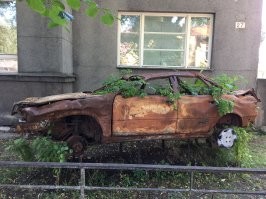 Вот тоже клумба , фоткал в Пярну в Эстонии .