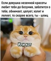 Или "папик", который её содержит