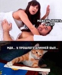 Том Круз бросил богатенькую дочь депутата Госдумы после трёх месяцев отношений