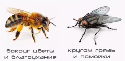 У вас просто неправильное отношение к жизни. Попробуйте не искать вокруг себя дерьмо, а, заняться каким-нибудь более продуктивным делом.