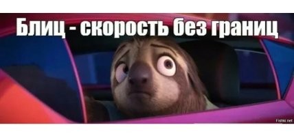 Заложники цивилизации: они не могут сами перейти дорогу, но добрые люди им помогают