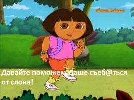 Слонёнок наказал наглую туристку, нарушившую границы его личного пространства