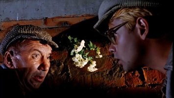 Французские фермеры замуровали въезд в префектуру