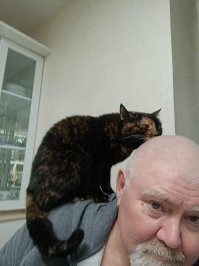 у нас это обычное явление