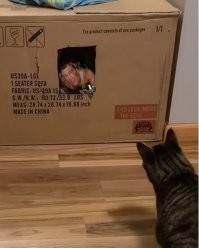 Портал в другое измерение