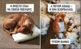 Намешалось