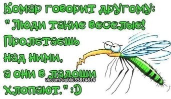 Комариный торнадо бушует в Буэнос-Айресе
