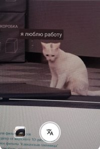 перевод:
