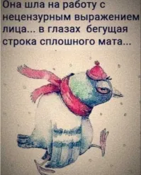 Скрины из соцсетей&nbsp;