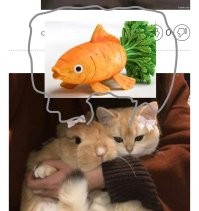 Намешалось