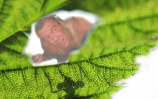 На общую тему &nbsp;