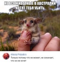 Кем же отужинал гигантский питон?