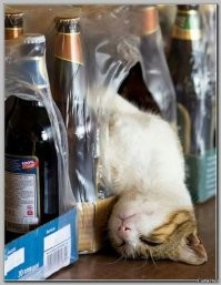 Нестандартные места для отдыха и сна