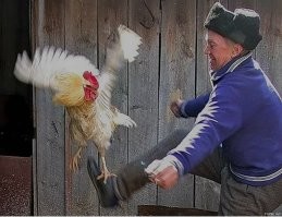 Пошёл найух, петушара!!!