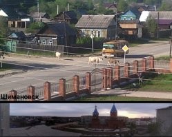 Наверное, на коров охотились.