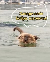 25 лучших фото-доказательств, что животные жутко похожи на людей