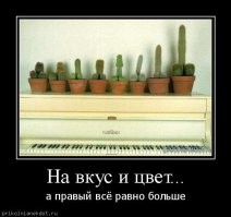 "Немок не нашлось": в Германии самой красивой девушкой страны стала уроженка Тегерана