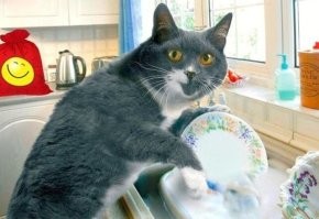 На следующий день...