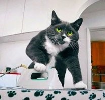 На следующий день...