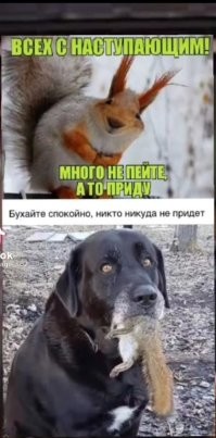Странная попытка ограбления в Полтаве