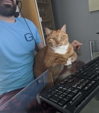 Кот:
"Не лезь в нашу семью!"