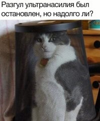Две разные реакции на стрессовую ситуацию