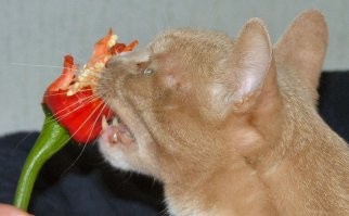 Вроде бы довольна