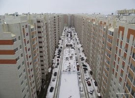 "Открыли Америку"....А где по вашему такое бешеное количество гамадрилов в России проживает? Хостелов-мизер! Да и шманают их периодически! А человейники-самое то! Подвалы и чердаки километровые, народу тьма...