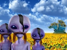 Нет, сразу как прилетели...
