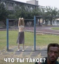 Просто гифки, всякие и&nbsp;разные