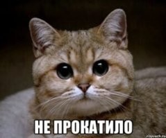 Женщина проиграла дело о нетрудоспособности, разоблачив себя весёлой фотографией
