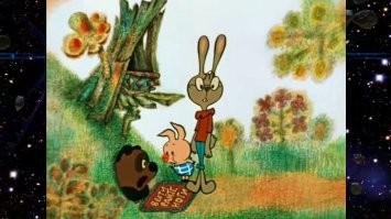 Черный медведь вылез из вентиляции дома в Северной Каролине