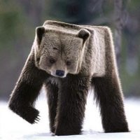 В результате он должен остаться таким !