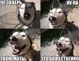 Просто гифки, всякие и&nbsp;разные