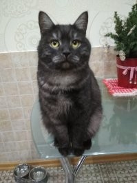 Пришёл когда то, так и остался.